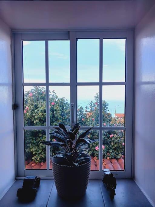 Achadas Da Cruz Farm House Екстериор снимка